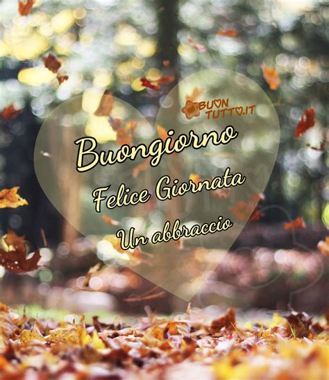 buona giornata autunnale|More.